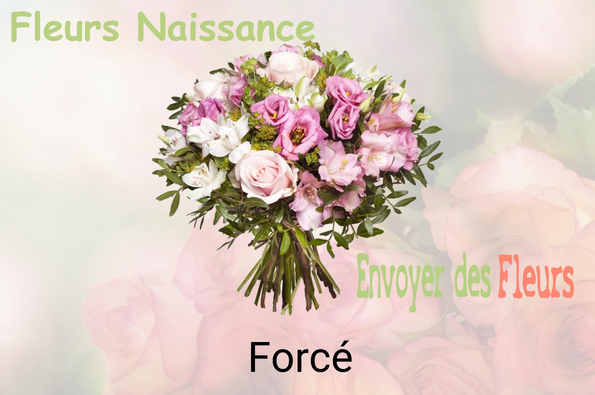 Bouquet de fleurs de naissance livré à Forcé