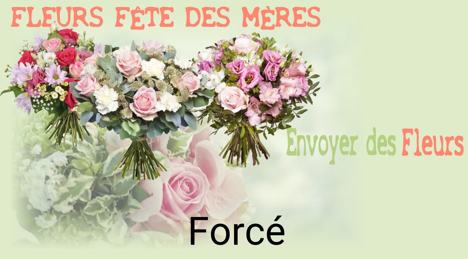 Bouquet de Fête des Mères livré à Forcé